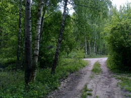 At the fork in the road ... / ***