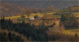 ... In the suburbs ... / ***