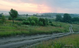 Road, at the fork of the / ***