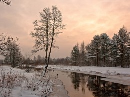 Winter landscape with river / ***