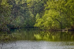 On the lake / ***