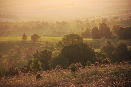 Volyn Upland / ***