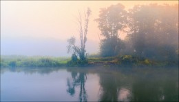 Dawn - Foggy / ***