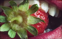 formula vitamin / ©2015