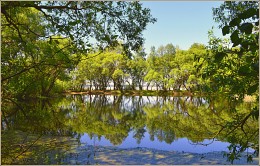 Spring Pond / ***