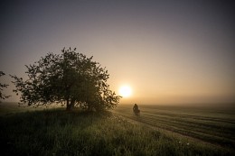 Early morning fishing / ***