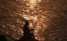 Fisherman / ***