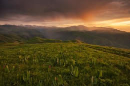 The evening after the rain / ***