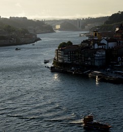 Porto. View of the Douro / ***
