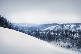 Frozen ground / ***