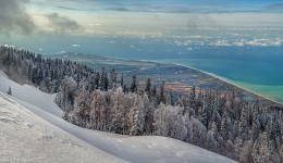 Winter on the background of spring. / ***