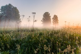 Magic of morning light / ***