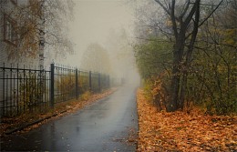 October fogs / ***