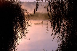 The willow lace. / ***