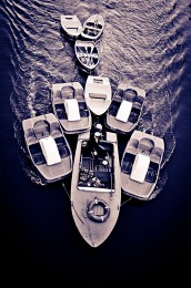 Wrangler does not throw his / ***