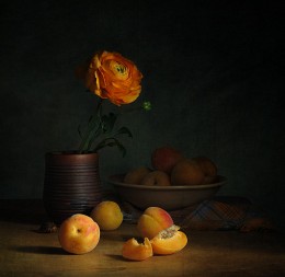 With apricots / ***
