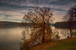 Fisherman and autumn / ***