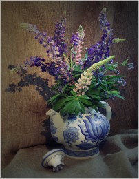Lupines and not only .... / ***