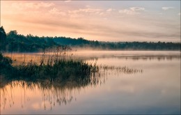 About mist on the river / ***