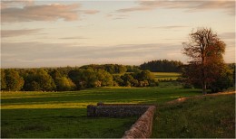 ... Evening-landscape ... / ***