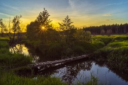 The June evening / ***