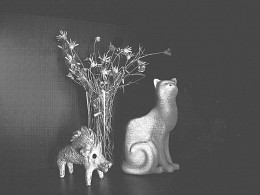 A pessimist and an optimist / ***