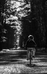 In the summer park / ***