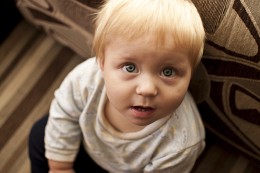 Nephew / ***