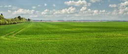 Green Fields / Lithuania fields to sow grain crops