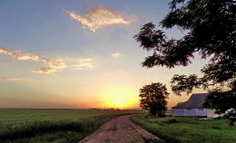 The road into the sunset ... / ***