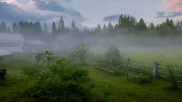 Evening fog after rain ... / ***