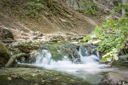 Mountain stream / ***