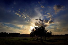 June sunset ... 2. / ***