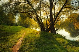 Autumn light / ***