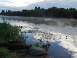 Berezina / ***