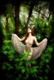 Forest Daphne ... 2. / ***