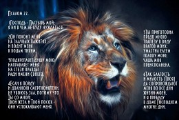 lion roars / ***
