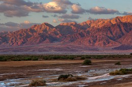 After the rain, the Negev. Israel / ***