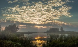 Foggy morning / ***