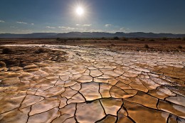 After the rain, the Negev. Israel / ***
