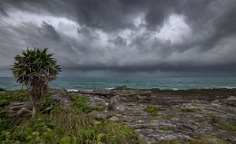 Friendly coast of Xcaret / Mexico