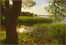 glare of the evening sun / ***