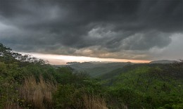 Gallea / Costa Rica