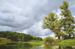 Big Lake Bare, Khopersky State Nature Reserve / ***