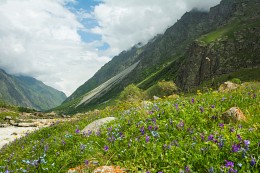 Caucasus Mountains. / ***