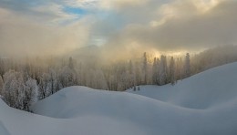 Winter fog. / ***