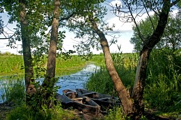 the fishing harbor / ***