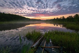 Evening on the moor / ***