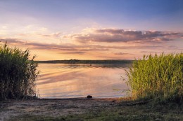 Evening on Petrovichi / ***