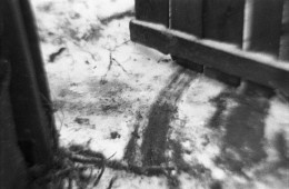 Dream on / [img]http://s020.radikal.ru/i706/1507/b2/a316c463a1dc.jpg[/img]